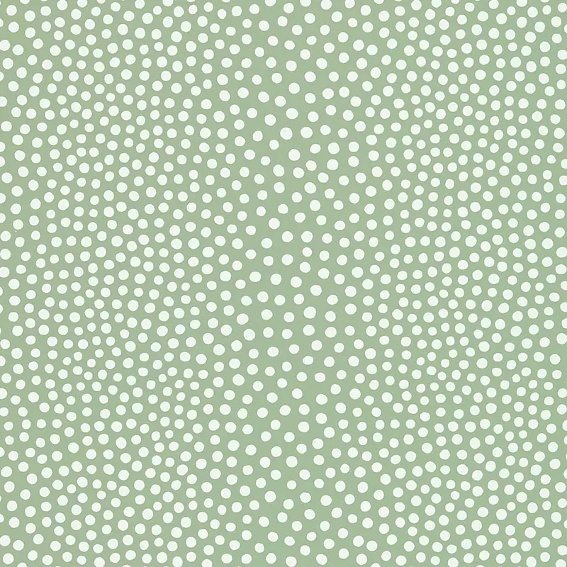 5007503 | RAINDOTS – SPRING