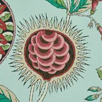 Schumacher ROCA REDONDA - MINERAL & PINK Wallpaper | Buy Online SKU 5011621