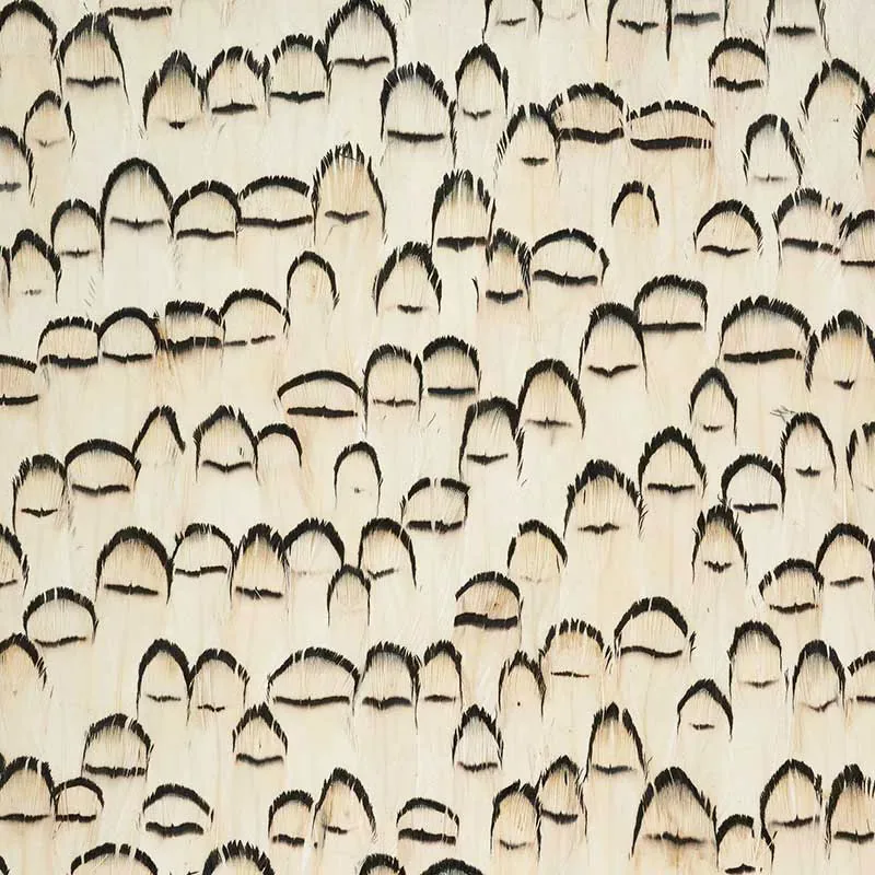 ROCK CRYSTAL WHITE Schumacher Wallpaper wallpaper - SKU 5008386