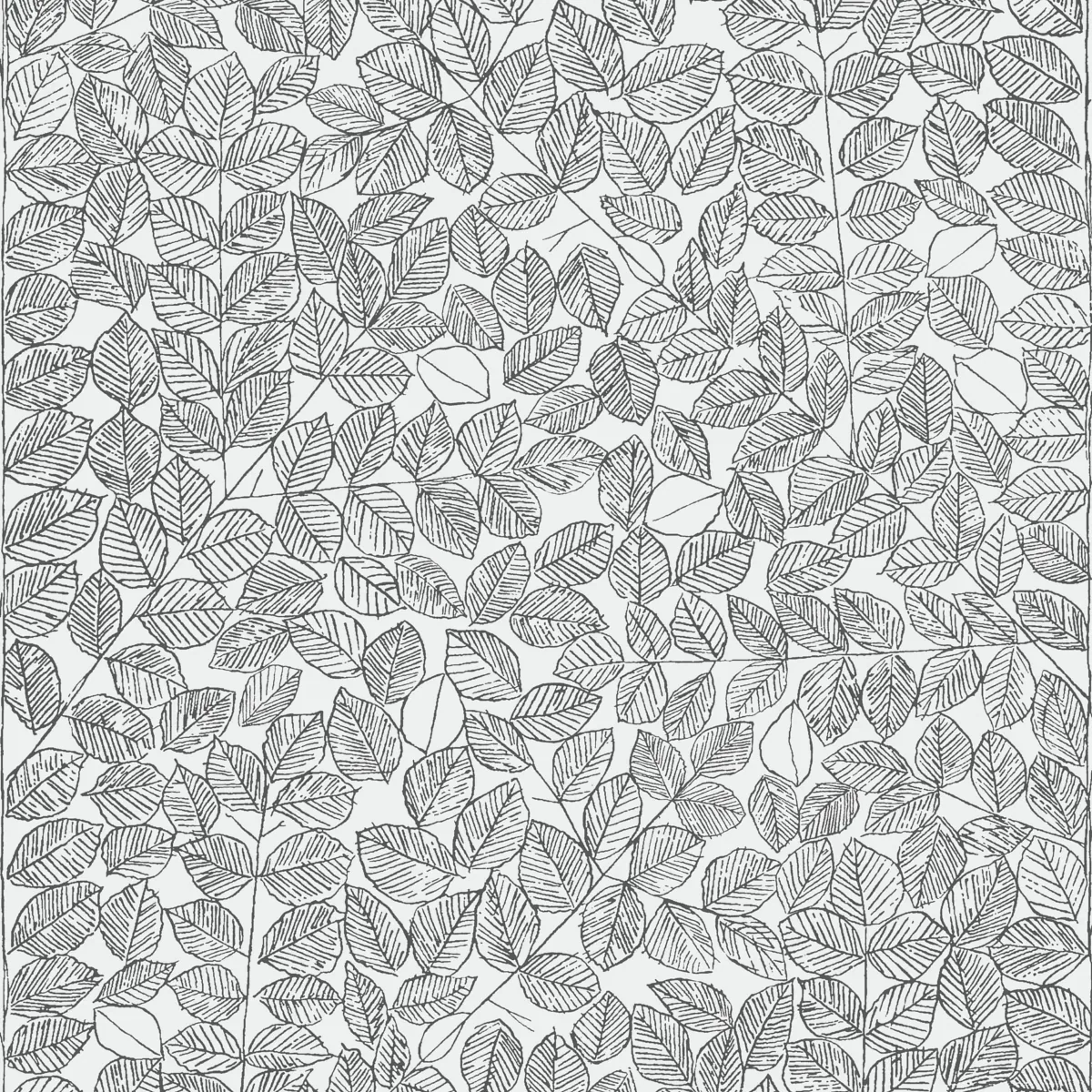 ROMANS BLACK Schumacher Wallpaper wallpaper - SKU 1766