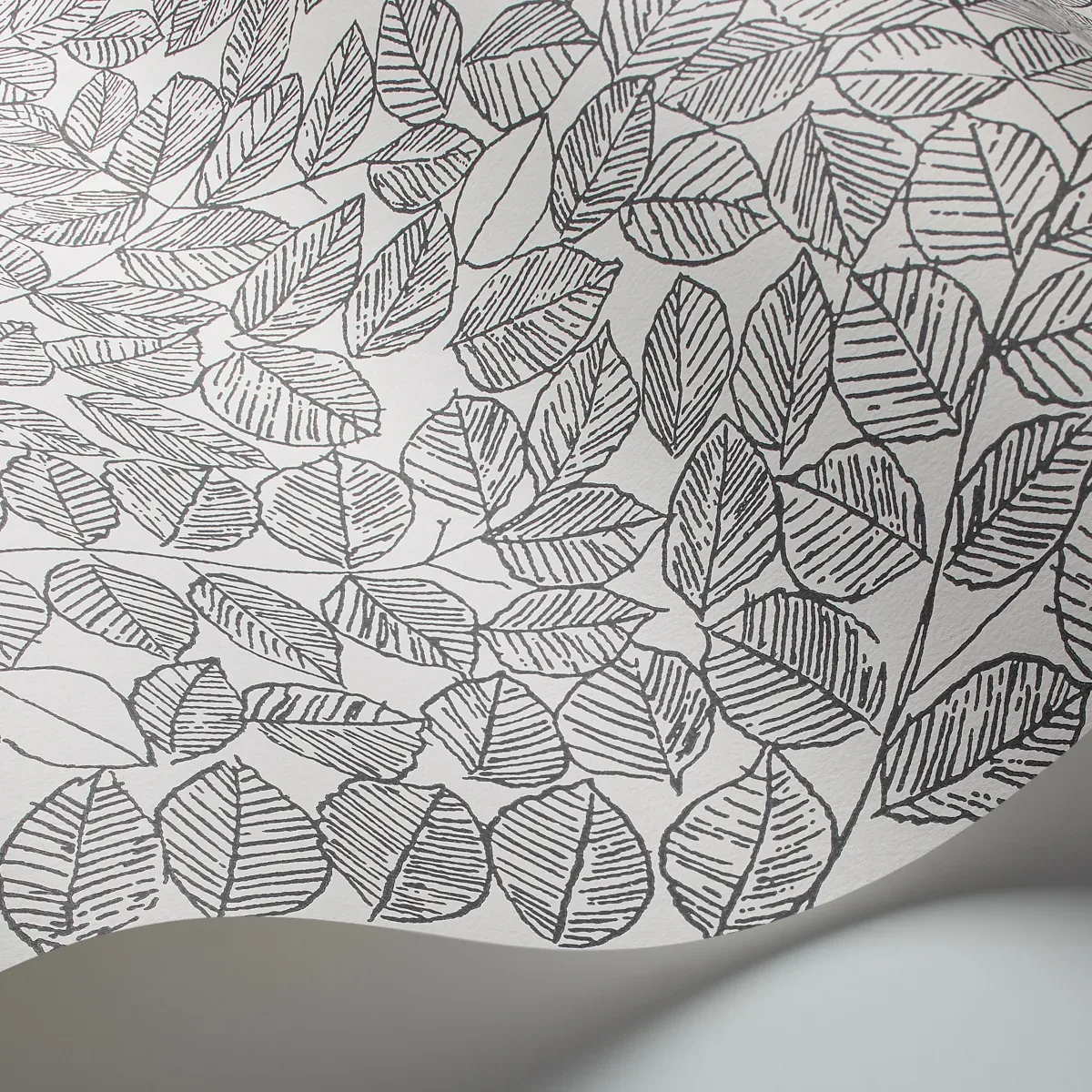 ROMANS - BLACK Schumacher Wallpaper | Wallpaper Twins ROMANS BLACK Schumacher Wallpaper wallpaper - SKU 1766