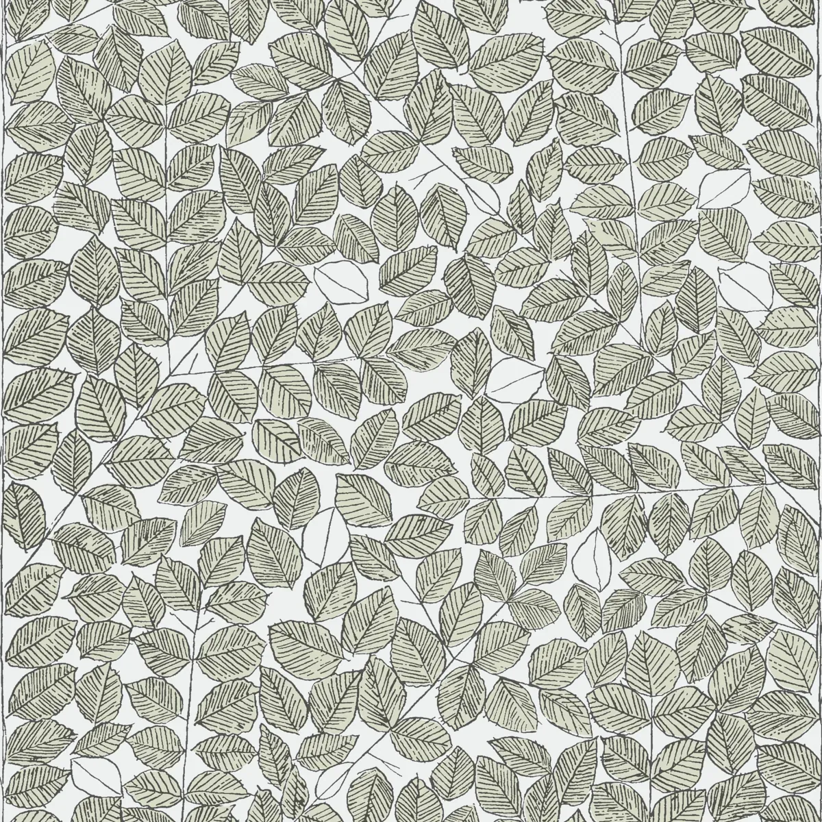 1769 | ROMANS – LEAF
