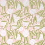 RUBUS BLUSH Schumacher Wallpaper wallpaper - SKU 5013330
