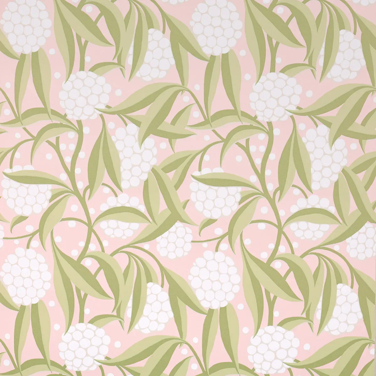 5013330 | RUBUS – BLUSH