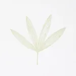 RUE GREEN Schumacher Wallpaper wallpaper - SKU 5013921