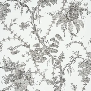 Schumacher SAN CRISTOBAL TOILE wallpaper