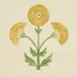SARANDA FLOWER SISAL - MARIGOLD Schumacher Wallpaper | Wallp SARANDA FLOWER SISAL MARIGOLD Schumacher Wallpaper wallpaper - SKU 5016670