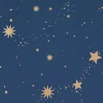 SCATTERED STARS - NIGHT Schumacher Wallpaper | Wallpaper Twi SCATTERED STARS NIGHT Schumacher Wallpaper wallpaper - SKU 5014141