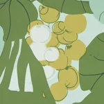SEA GRAPES PALM Schumacher Wallpaper wallpaper - SKU 5011730