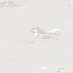 SEAGULLS GREY Schumacher Wallpaper wallpaper - SKU 8857