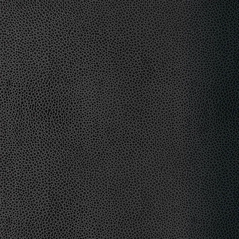 5005854 | SHAGREEN – CARBON