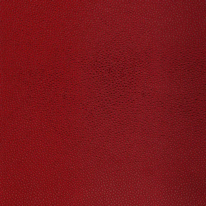 5005853 | SHAGREEN – OXBLOOD