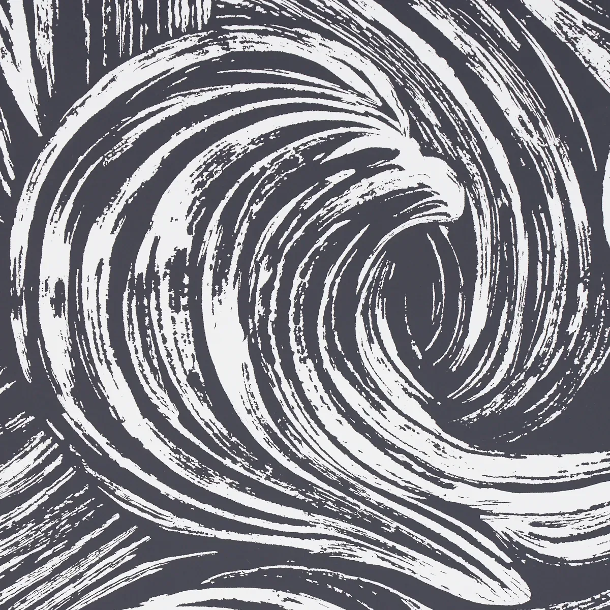 SHIO CARBON Schumacher Wallpaper wallpaper - SKU 5013853