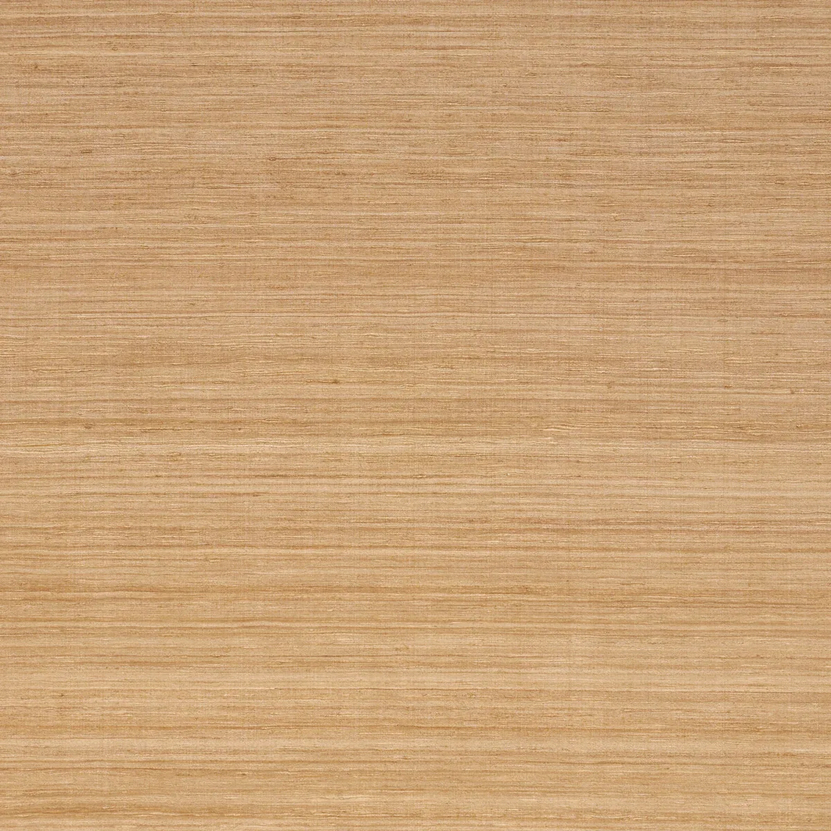 5010275 | SILK STRIE – FAWN
