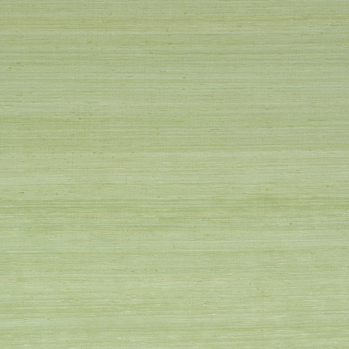 5010274 | SILK STRIE – LEAF