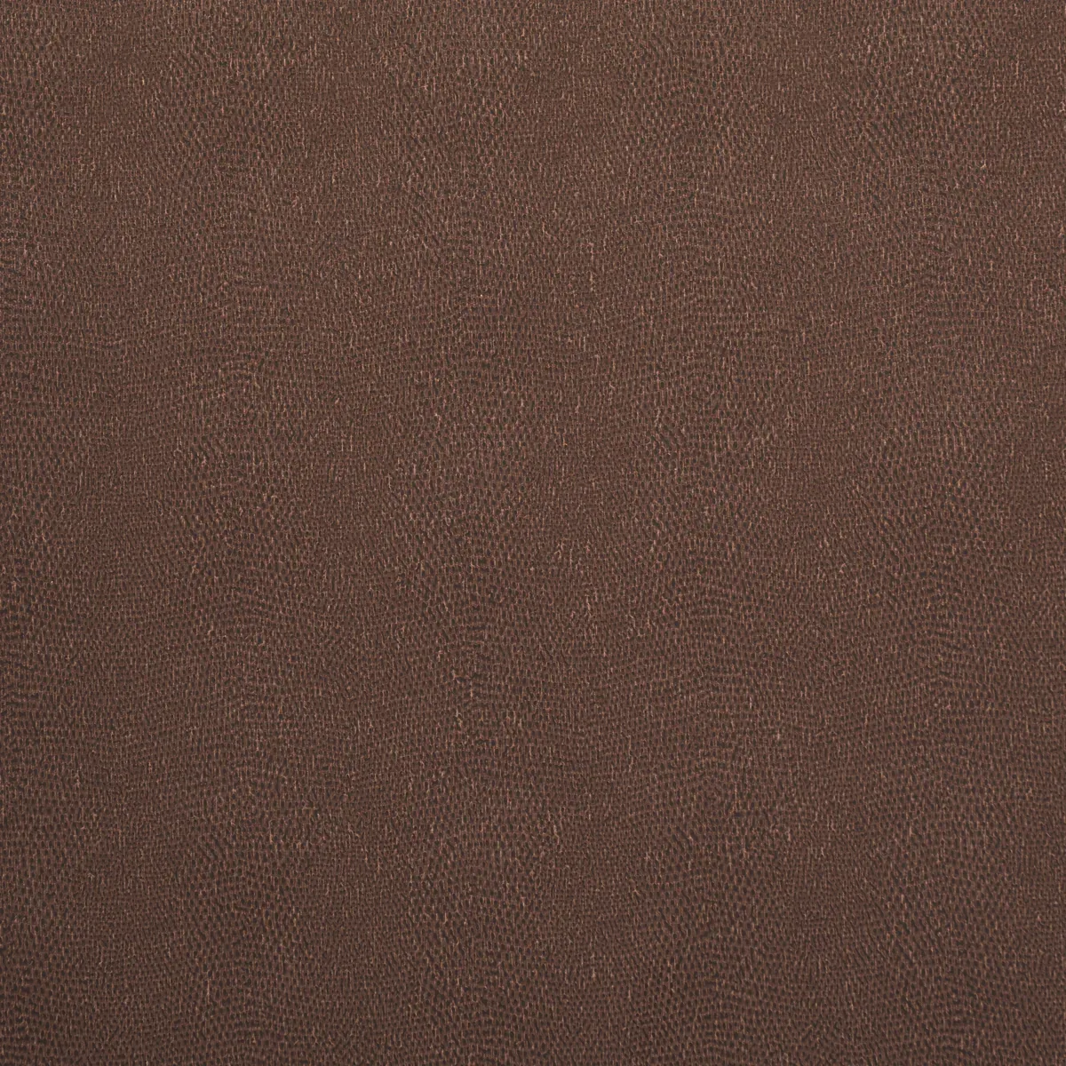 5017502 | SNAKESKIN VINYL – SADDLE