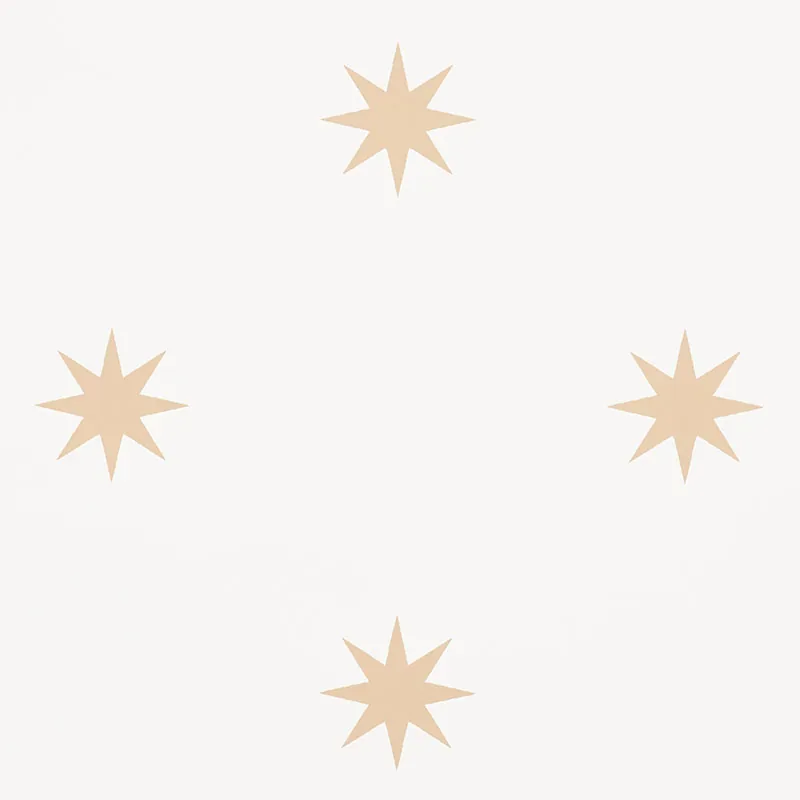STARGAZE BRONZE Schumacher Wallpaper wallpaper - SKU 5009600