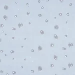 STELLAR BLUE Schumacher Wallpaper wallpaper - SKU 5012192