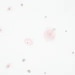 STELLAR BLUSH Schumacher Wallpaper wallpaper - SKU 5012191