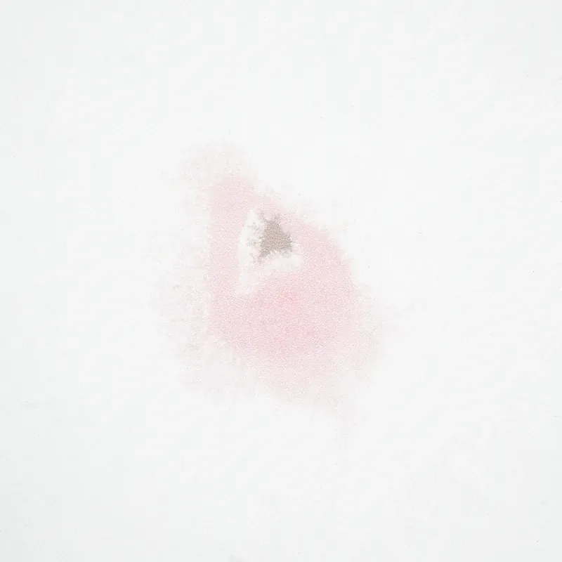 STELLAR BLUSH Schumacher Wallpaper wallpaper - SKU 5012191