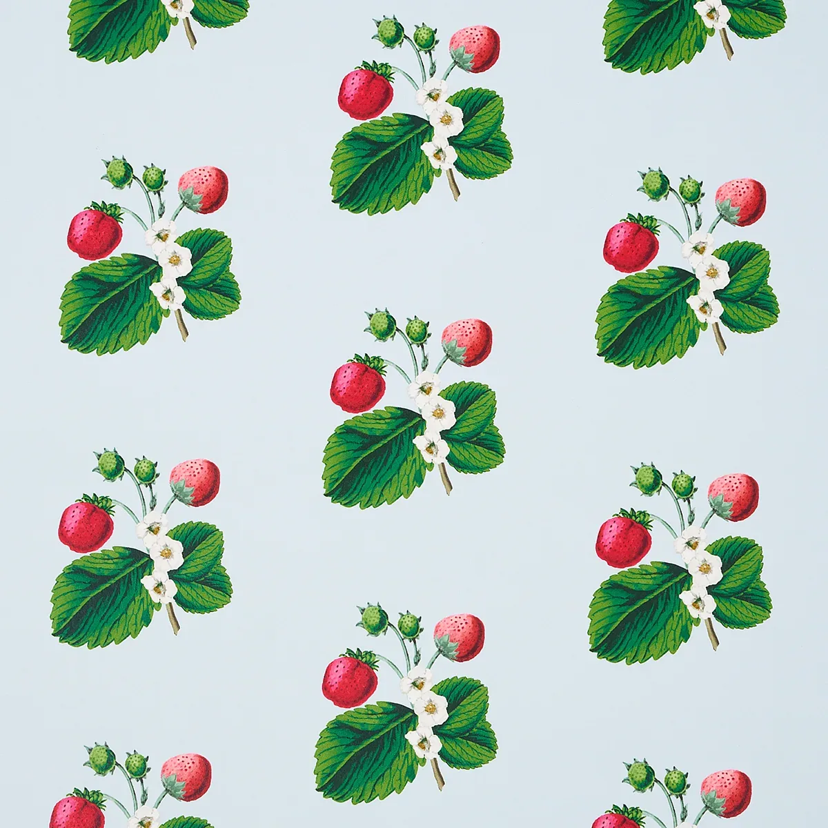 STRAWBERRY HILL BLUE Schumacher Wallpaper wallpaper - SKU 5014321