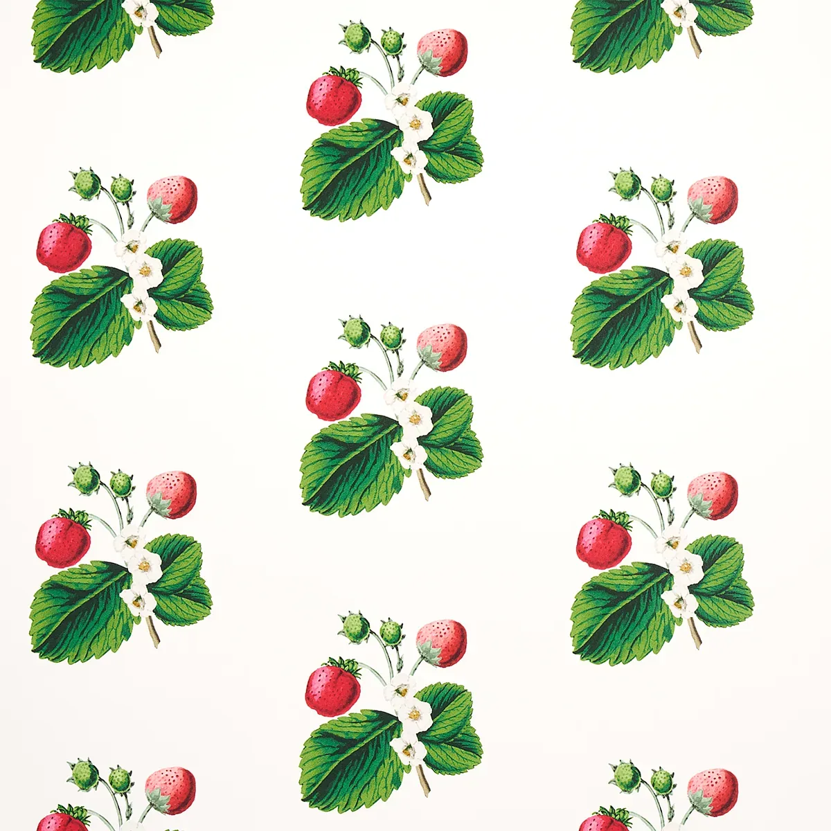 STRAWBERRY HILL WHITE Schumacher Wallpaper wallpaper - SKU 5014320