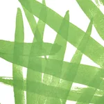 SUNLIT PALM GREEN Schumacher Wallpaper wallpaper - SKU 5010560