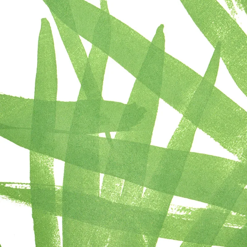 SUNLIT PALM GREEN Schumacher Wallpaper wallpaper - SKU 5010560