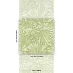 SUNLIT PALM SISAL PISTACHIO Schumacher Wallpaper wallpaper - SKU 5012042