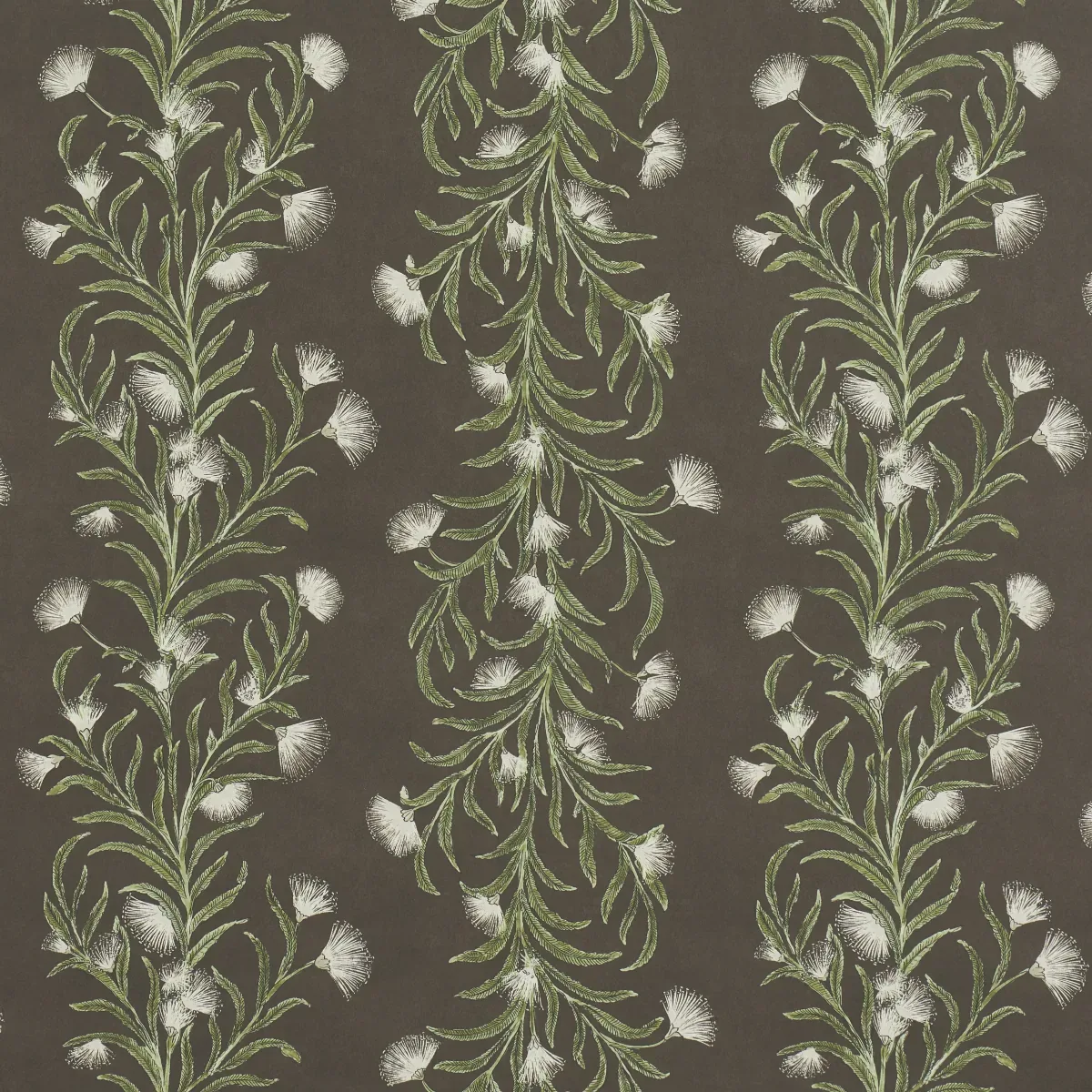 TASMANIAN MIMOSA BROWN &GREEN Schumacher Wallpaper wallpaper - SKU 5015361