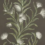 TASMANIAN MIMOSA - BROWN &GREEN Schumacher Wallpaper | Wallp TASMANIAN MIMOSA BROWN &GREEN Schumacher Wallpaper wallpaper - SKU 5015361