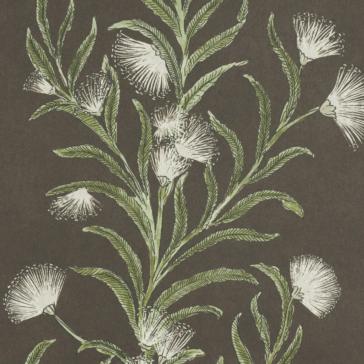 TASMANIAN MIMOSA - BROWN &GREEN Schumacher Wallpaper | Wallp TASMANIAN MIMOSA BROWN &GREEN Schumacher Wallpaper wallpaper - SKU 5015361