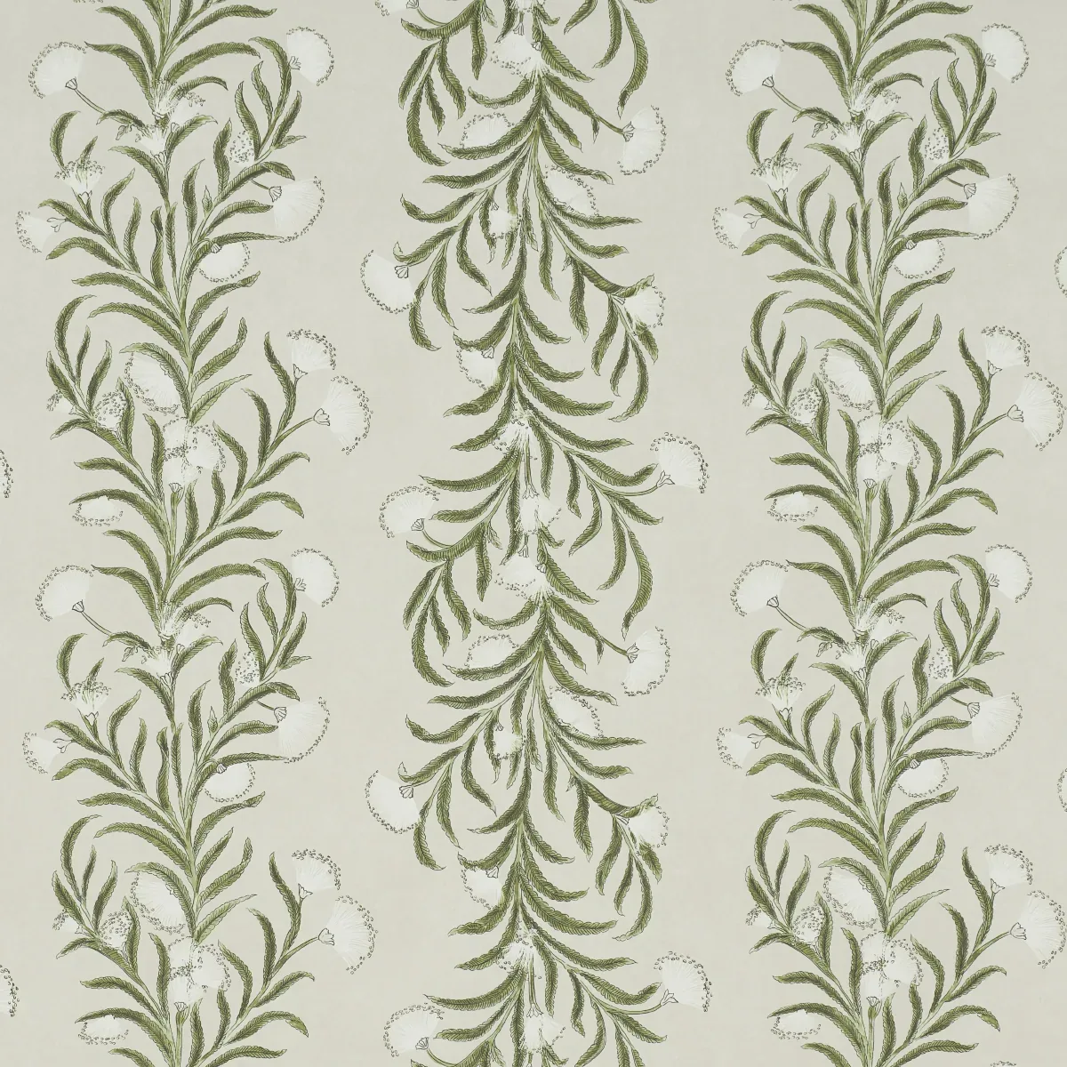5015362 | TASMANIAN MIMOSA – IVORY & GREEN