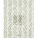 TASMANIAN MIMOSA - IVORY & GREEN Schumacher Wallpaper | Wall TASMANIAN MIMOSA IVORY & GREEN Schumacher Wallpaper wallpaper - SKU 5015362