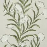 TASMANIAN MIMOSA - IVORY & GREEN Schumacher Wallpaper | Wall TASMANIAN MIMOSA IVORY & GREEN Schumacher Wallpaper wallpaper - SKU 5015362