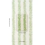 TENDRIL STRIPE SISAL OLIVE Schumacher Wallpaper wallpaper - SKU 5015560