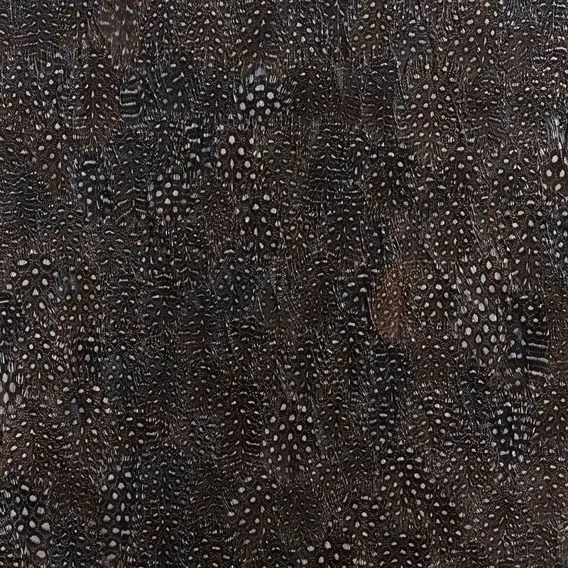 TITANIUM BLACK & WHITE Schumacher Wallpaper wallpaper - SKU 5008378