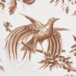 TOILE DE LA PRAIRIE BROWN Schumacher Wallpaper wallpaper - SKU 5011712