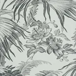 TOILE TROPIQUE - BLACK Schumacher Wallpaper | Wallpaper Twin TOILE TROPIQUE BLACK Schumacher Wallpaper wallpaper - SKU 5011481