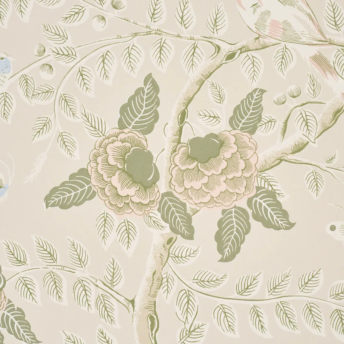 TOLE BIRD - PETAL Schumacher Wallpaper | Wallpaper Twins TOLE BIRD PETAL Schumacher Wallpaper wallpaper - SKU 5017541