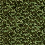 TORTOISE - AMAZON Schumacher Wallpaper | Wallpaper Twins TORTOISE AMAZON Schumacher Wallpaper wallpaper - SKU 5007451