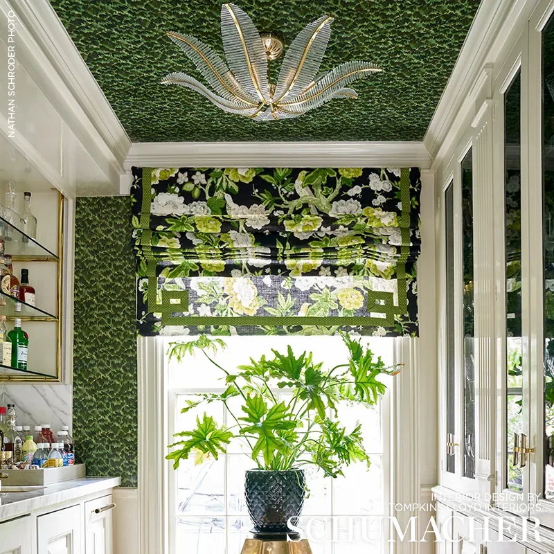 TORTOISE - AMAZON Schumacher Wallpaper | Wallpaper Twins TORTOISE AMAZON Schumacher Wallpaper wallpaper - SKU 5007451