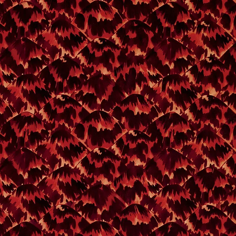 5007452 | TORTOISE – IMPERIAL