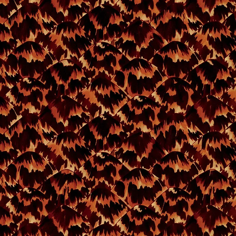 5007450 | TORTOISE – NATURAL