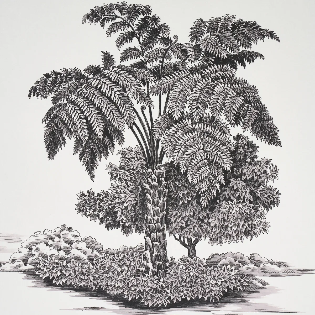 TOUSSAINT TOILE - BLACK ON IVORY Schumacher Wallpaper | Wall TOUSSAINT TOILE BLACK ON IVORY Schumacher Wallpaper wallpaper - SKU 5013770