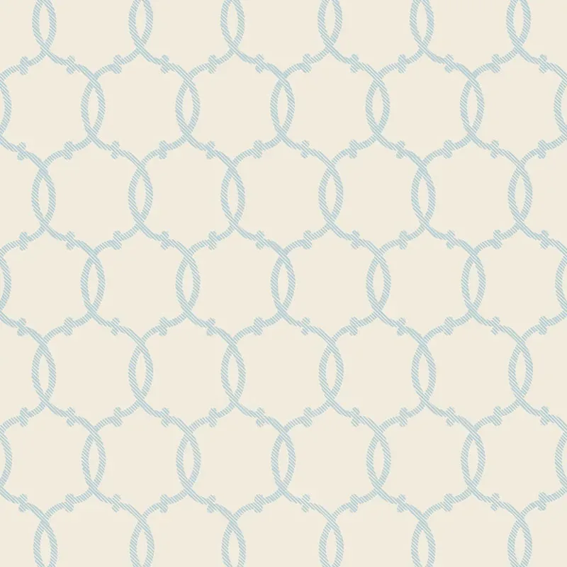 5005120 | TRACERY – SKY
