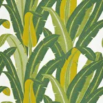 TROPICAL ISLE GREEN ON WHITE Schumacher Wallpaper wallpaper - SKU 2707230