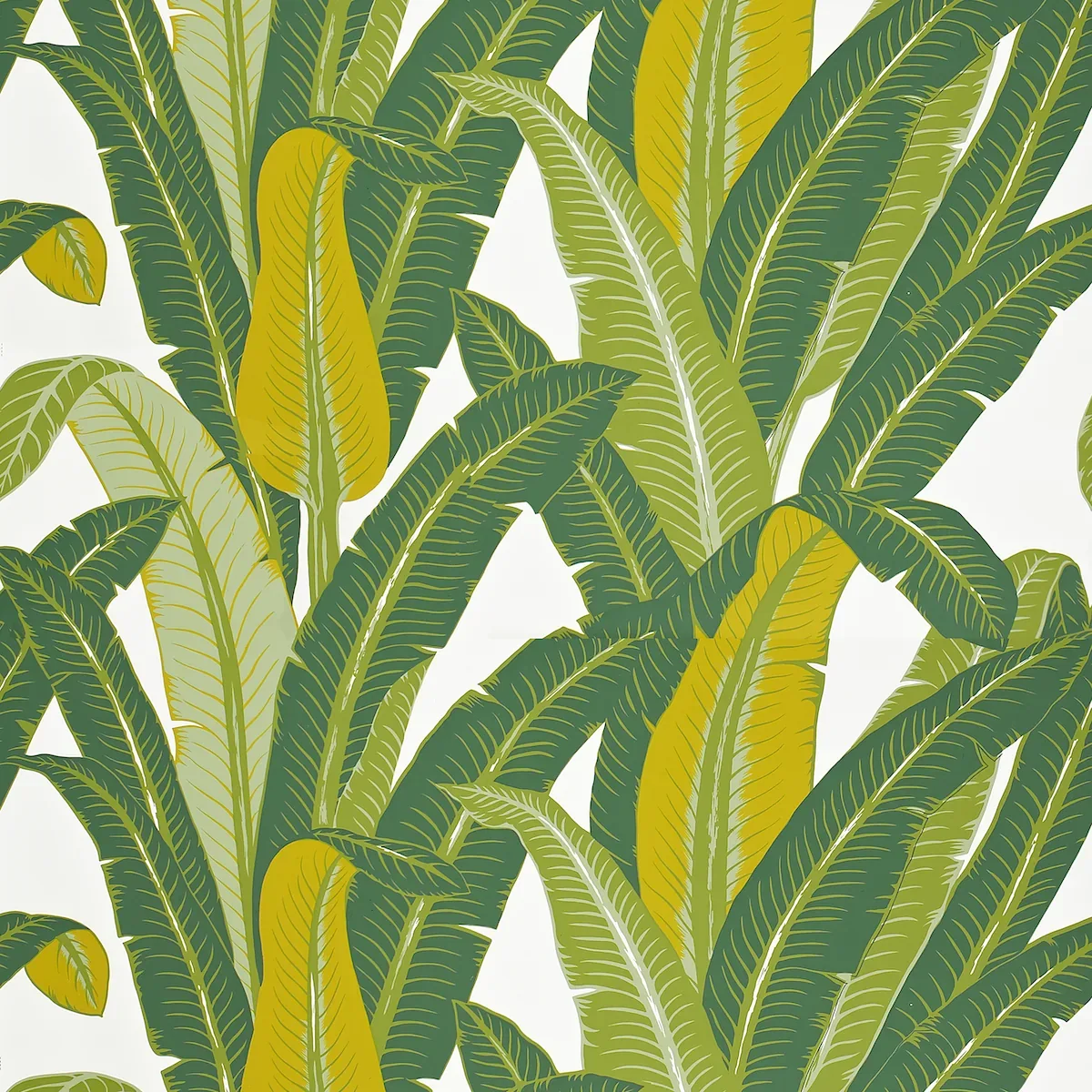 TROPICAL ISLE GREEN ON WHITE Schumacher Wallpaper wallpaper - SKU 2707230