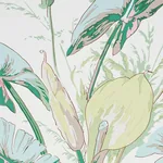 TROPIQUE BLUSH Schumacher Wallpaper wallpaper - SKU 5010481