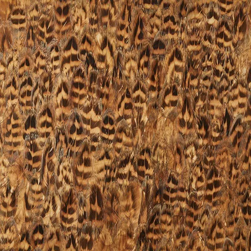 UMBER DAFFOD Schumacher Wallpaper wallpaper - SKU 5008403